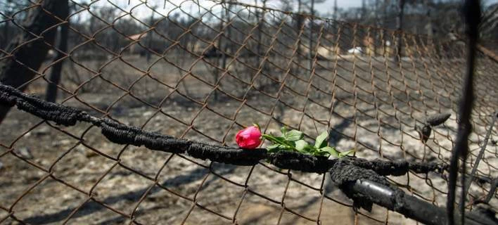 Είναι μόνο 99 οι νεκροί στο Μάτι; Τι περιέχουν οι 8 σάκοι στο νεκροτομείο του Σχιστού; Ταυτοποιήθηκαν οδηγοί κι επιβάτες των 1.000 καμένων αυτοκινήτων;
